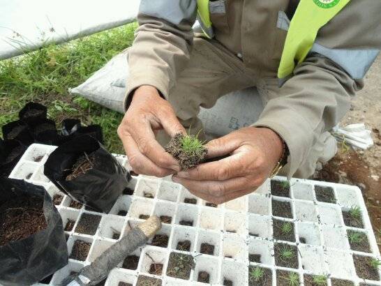 Responsabilidad Social GRUPO OBREGON